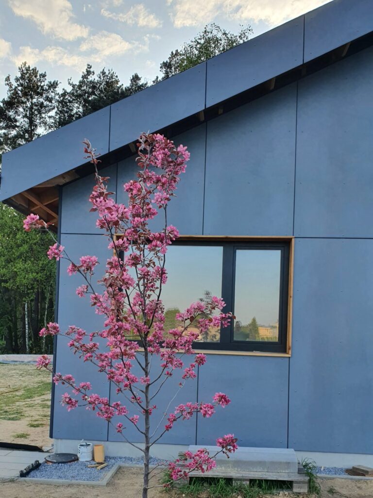 Dom szkieletowy drewniany płyty cementowe dom na wsi