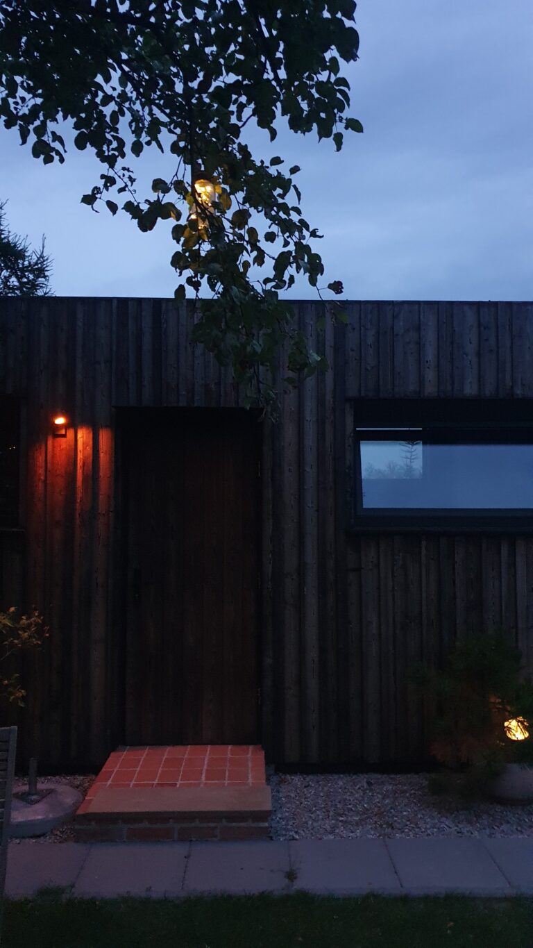 elewacja palone drewno sou shugi ban dom szkieletowy